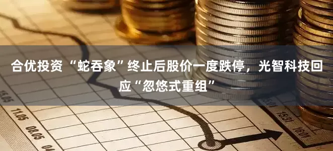 合优投资 “蛇吞象”终止后股价一度跌停，光智科技回应“忽悠式重组”