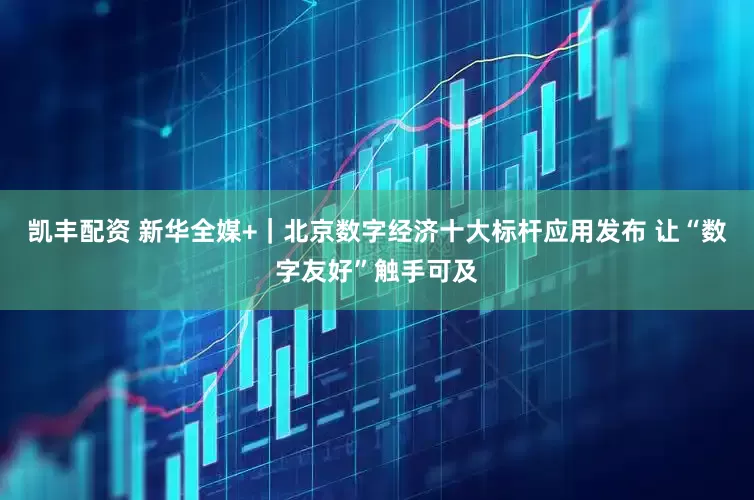 凯丰配资 新华全媒+｜北京数字经济十大标杆应用发布 让“数字友好”触手可及