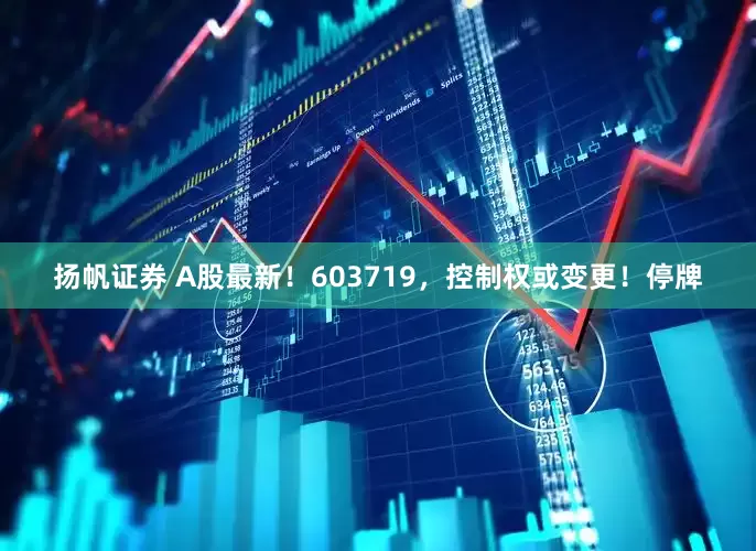 扬帆证券 A股最新！603719，控制权或变更！停牌