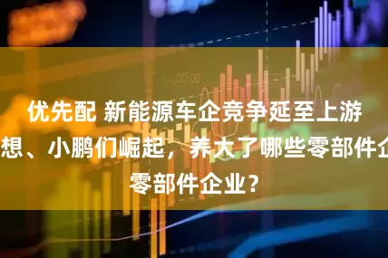 优先配 新能源车企竞争延至上游：理想、小鹏们崛起，养大了哪些零部件企业？