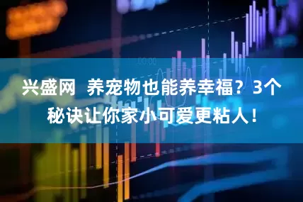 兴盛网  养宠物也能养幸福？3个秘诀让你家小可爱更粘人！