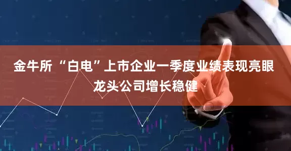 金牛所 “白电”上市企业一季度业绩表现亮眼 龙头公司增长稳健